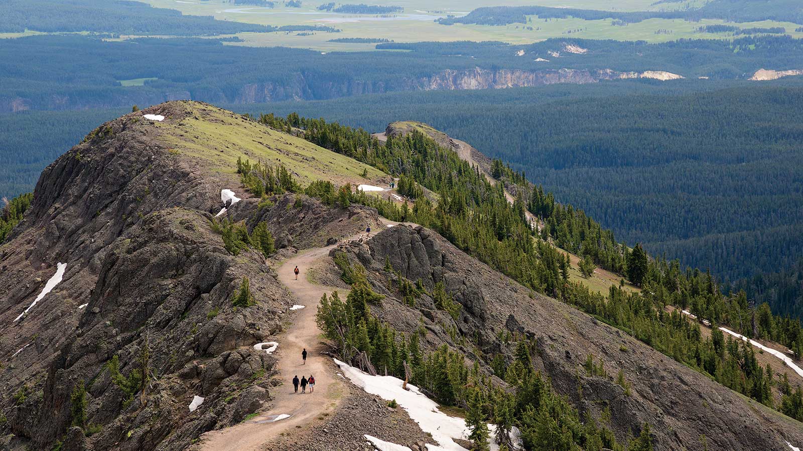 Mount Washburn Trails: Dunraven Pass vs Chittenden Road Guide